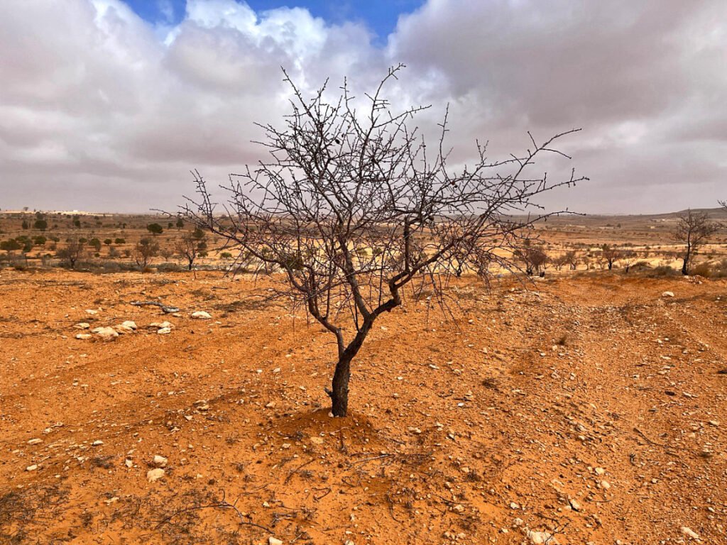 libya climate change
