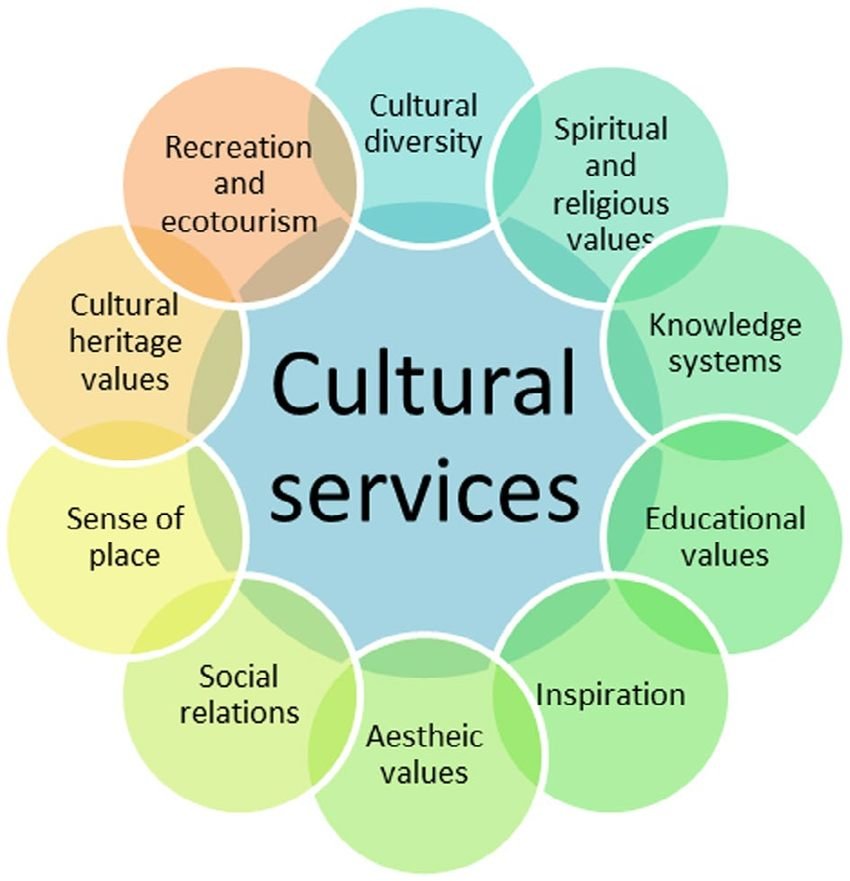 Cultural Serveces Drooj