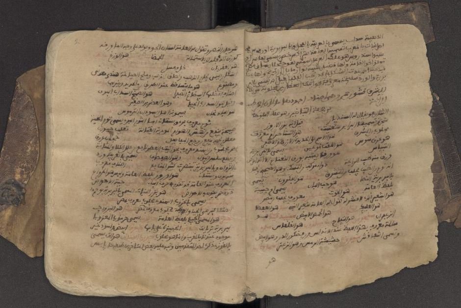 2 جزء من قاموس أمازيغي عربي، من مخطوطات جامعة لايدن هولندا