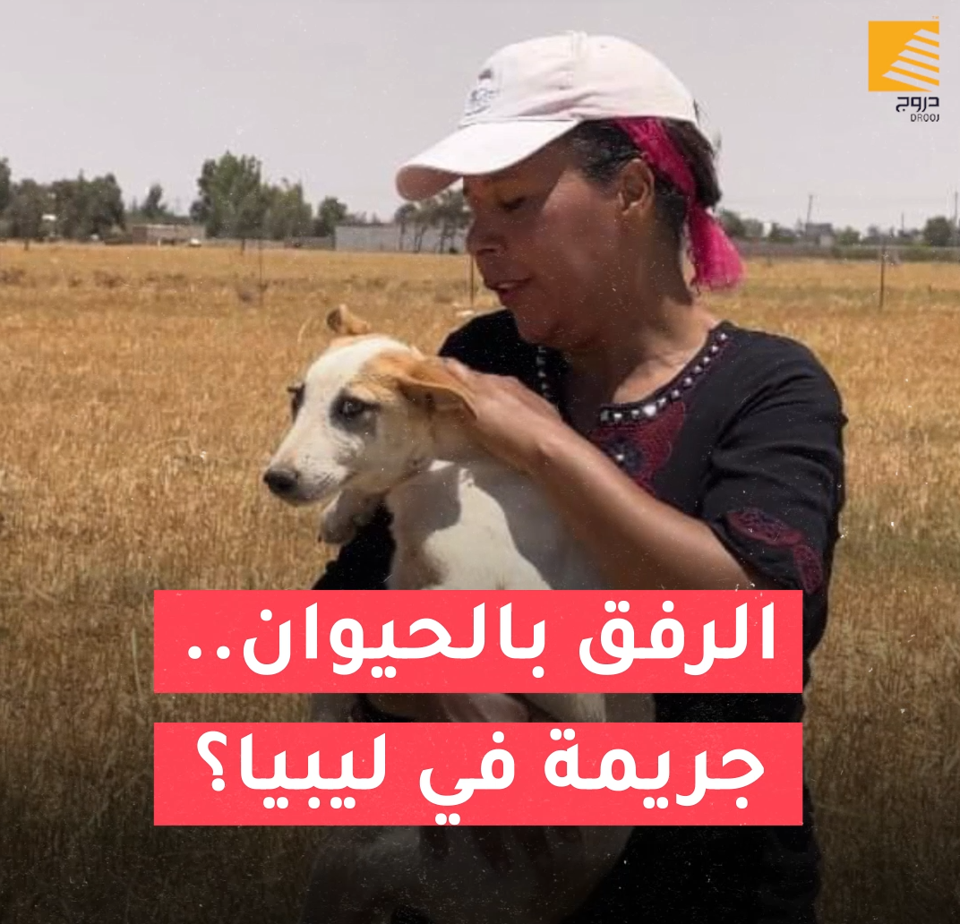 Screenshot 2023 04 04 150110 1