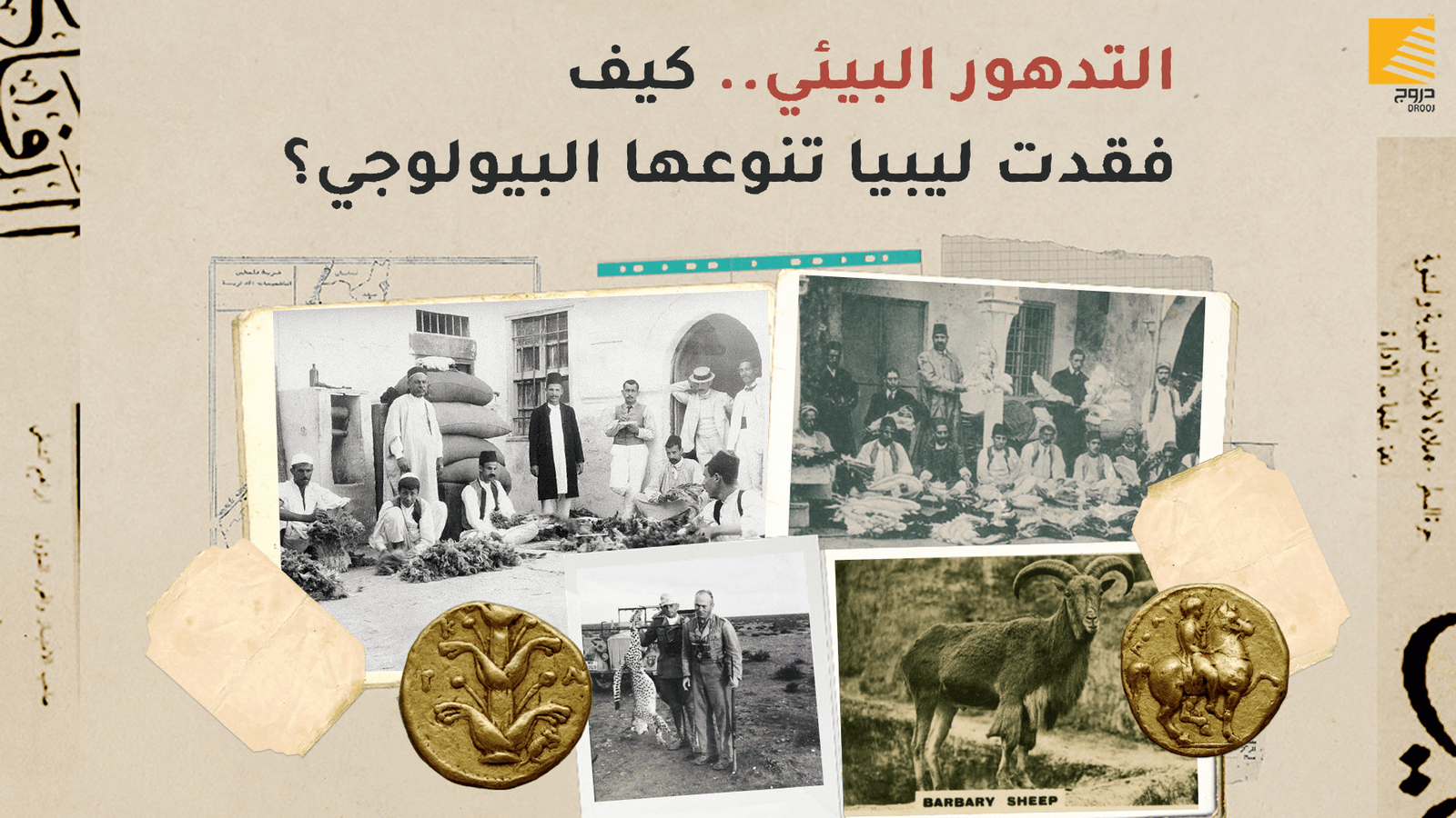 التدهور البيئي