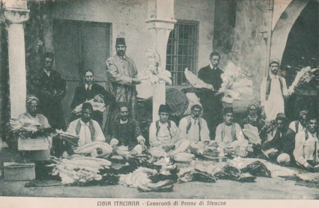 تجارة ريش النعام.طرابلس