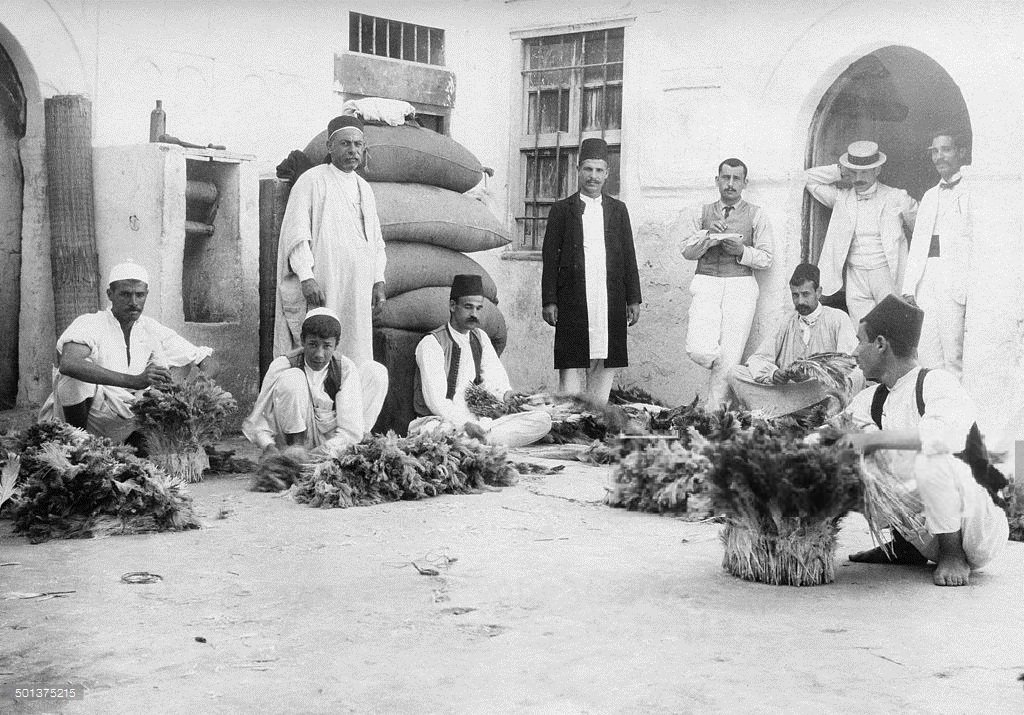 تجّار ريش النعام.طرابلس