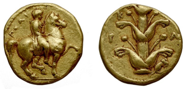 عملة منقوش عليها نبات السلفيوم .قبل الميلاد